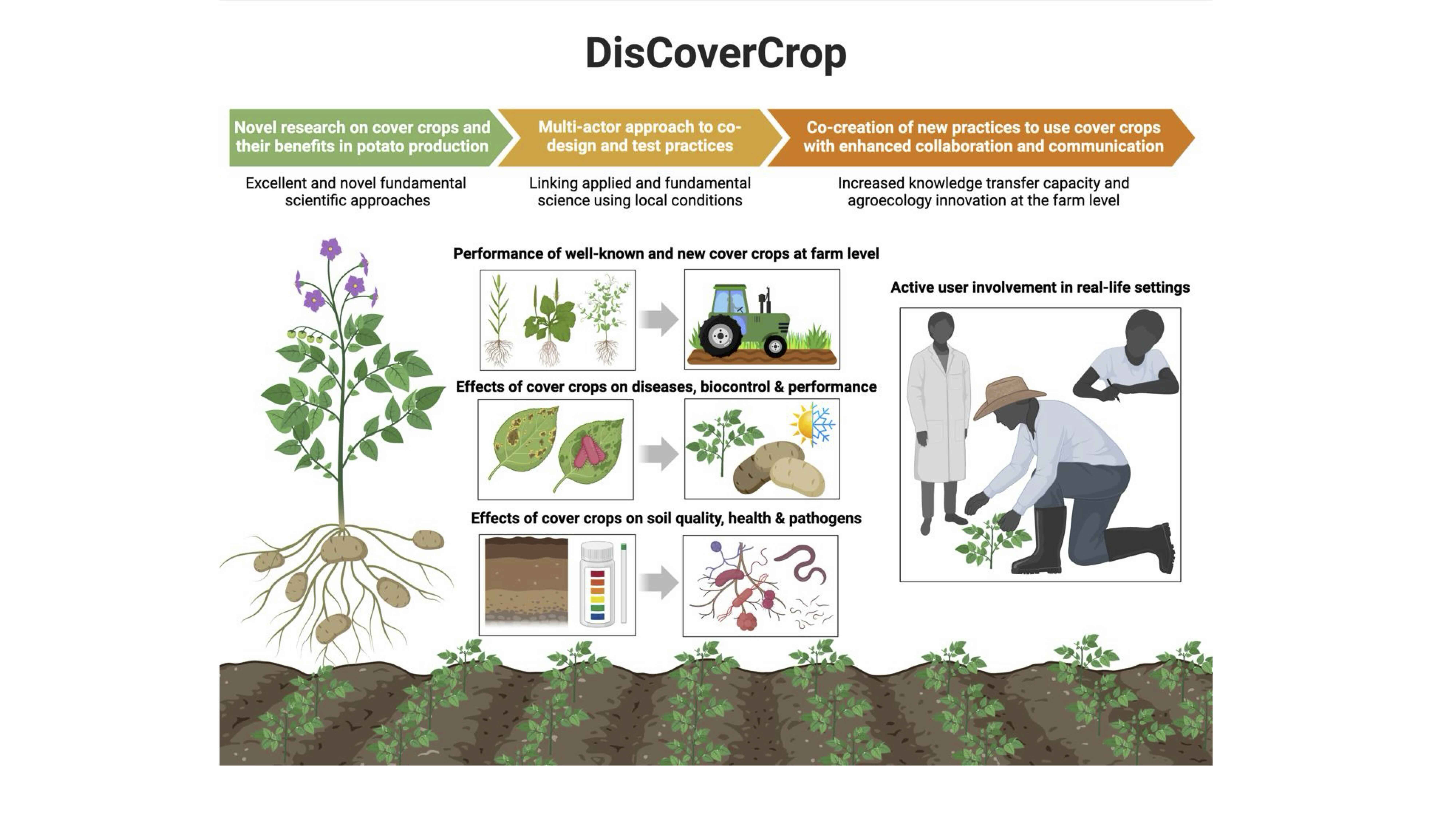 DisCoverCrop Project Concept